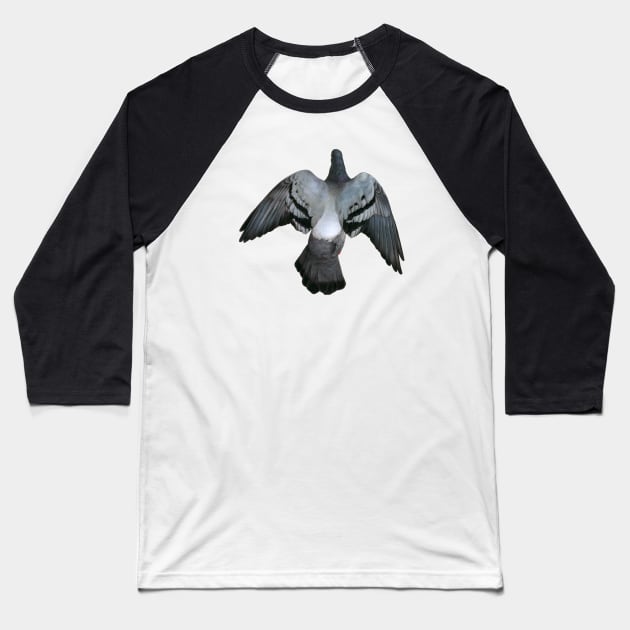 Pigeon Baseball T-Shirt by Warbler Creative